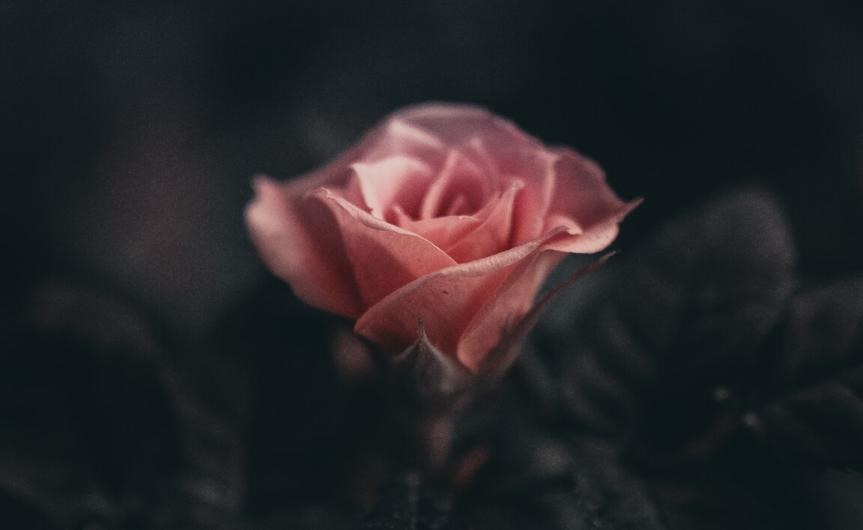 Geschenke der Dunkelheit & Mystik für Frauen ( + geführte Meditation)